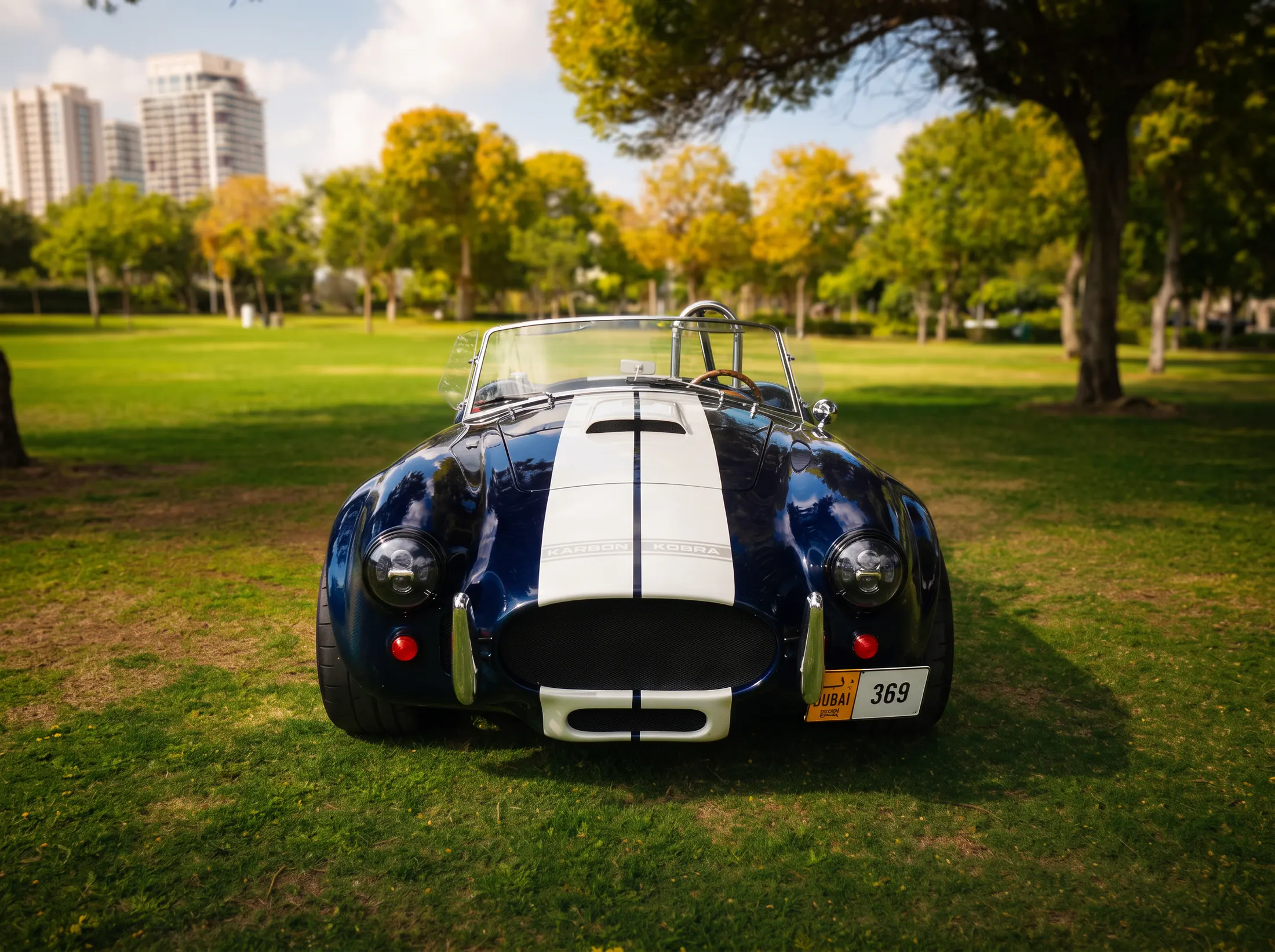 Karbon Kobra, front, parked on grass